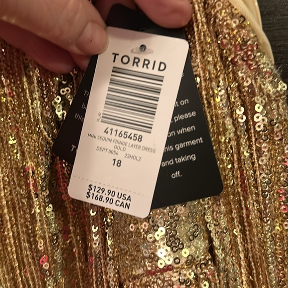 NWT Mimi Sequin Fringe Layer Dress from Torrid - Picture 4 of 5